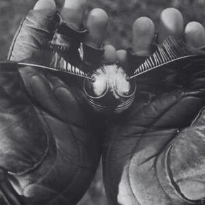 傷だらけの体。